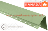 angokrastis_salotine6