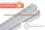 vidaus_kampas_balyas1