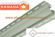 vidaus_kampas_pilkai_zalia9