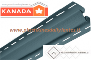 vidaus_kampas_pilkai_zydra9