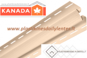 vidaus_kampas_rozine6