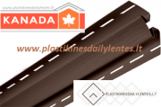 vidaus_kampas_ruda6
